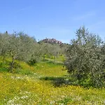 Limonaia *