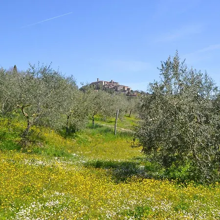 Pet Friendly In St, Maria In Tiberina With House A Panoramic View *