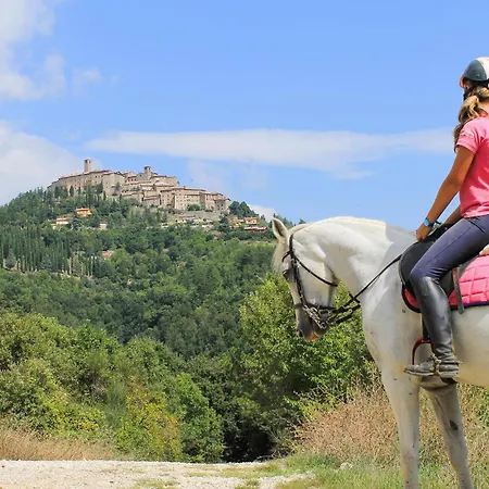 Pet Friendly In St, Maria In Tiberina With House A Panoramic View Holiday home
