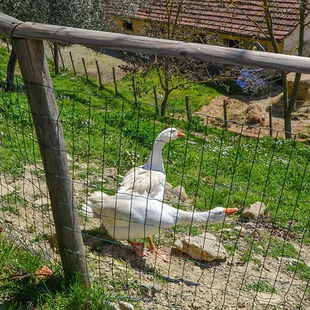 Limonaia Prázdninový dům Monte Santa Maria Tiberina