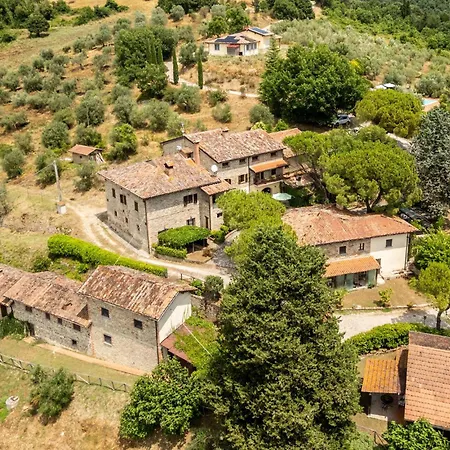 Limonaia *